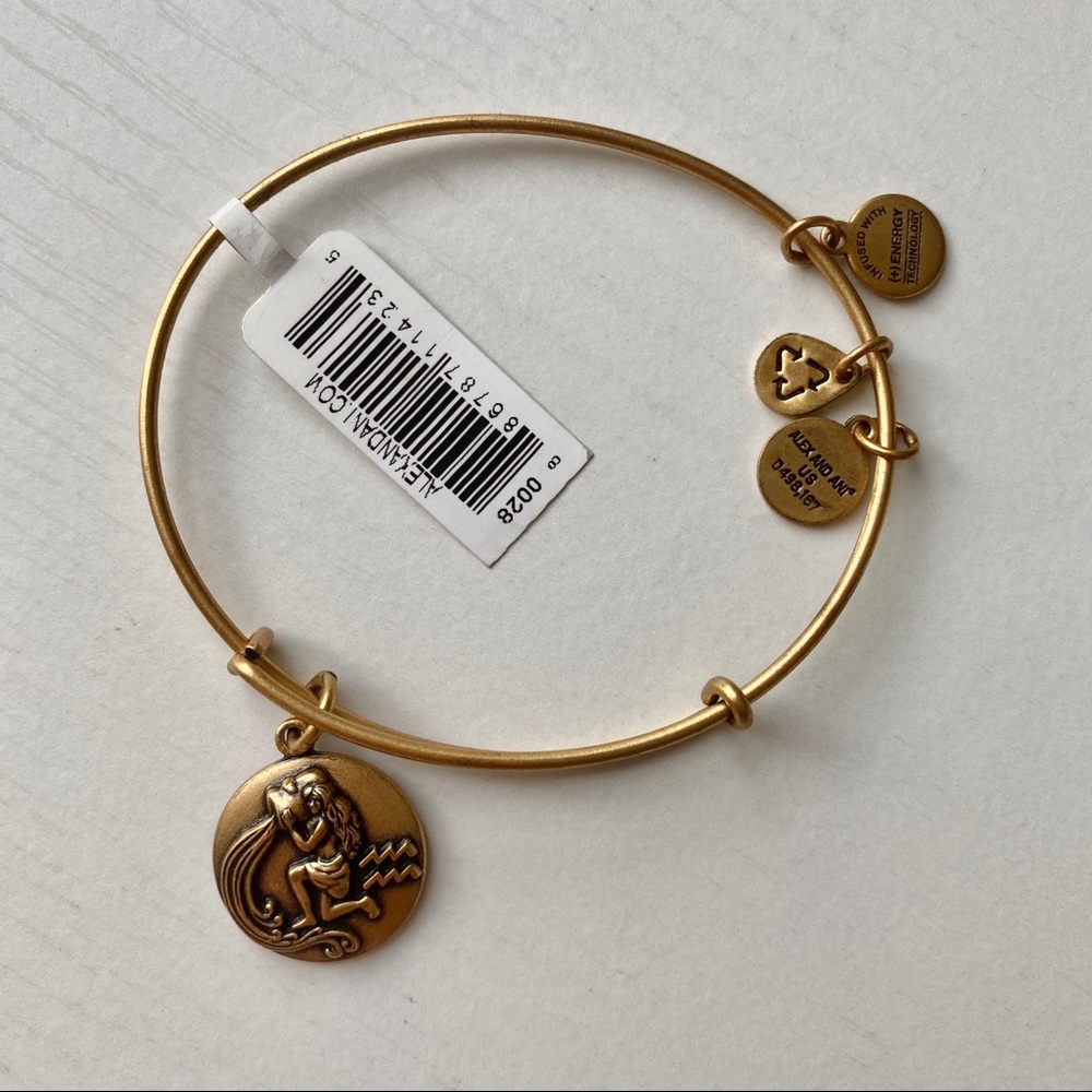 NEW Alex and Ani bracelet